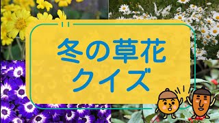 【高齢者向け】12月に盛り上がる楽しいクイズ問題