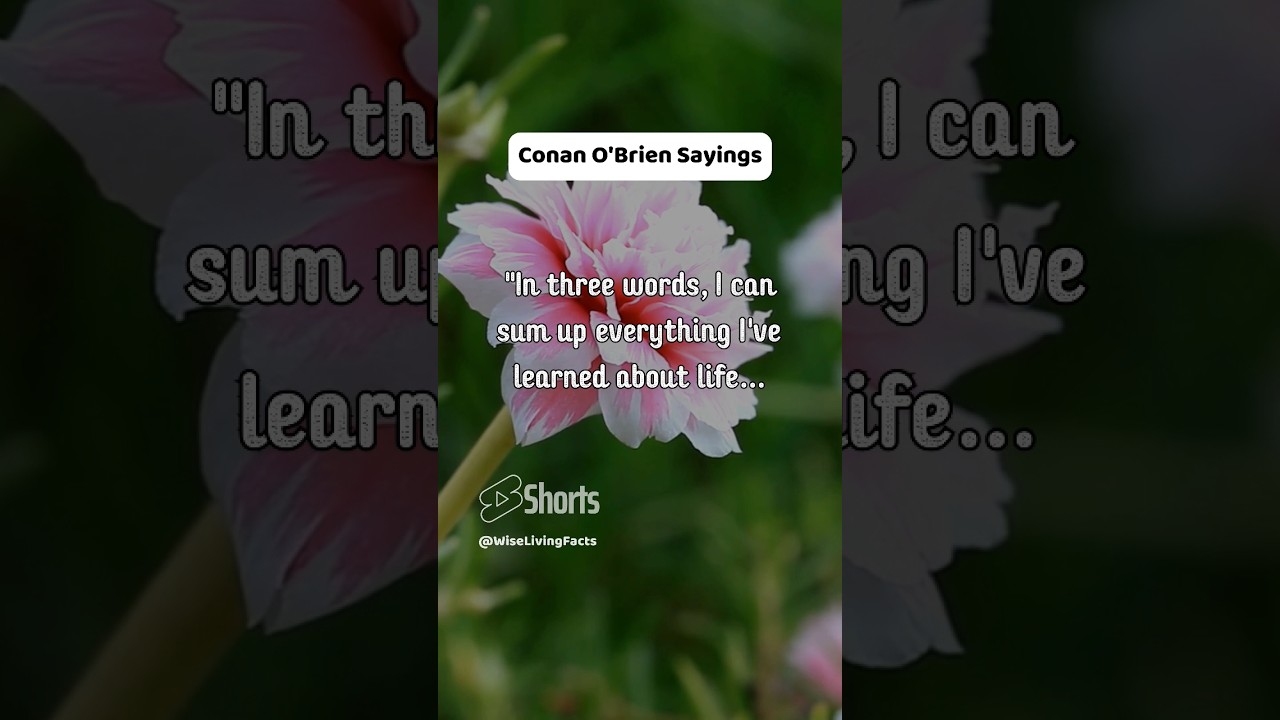 Life's Resilience: Lessons in Three Words 🌿🔄 | Reflective Quotes 