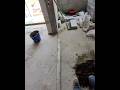 Испугался нет обосрался #рек #россия #москва #стройка #shorts #short #funny #viral #tiktok #reels