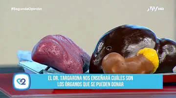 ¿Qué órgano se dona más?