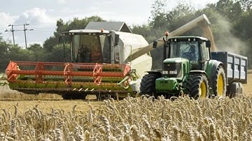 Combating the superpests: the battle to save our food