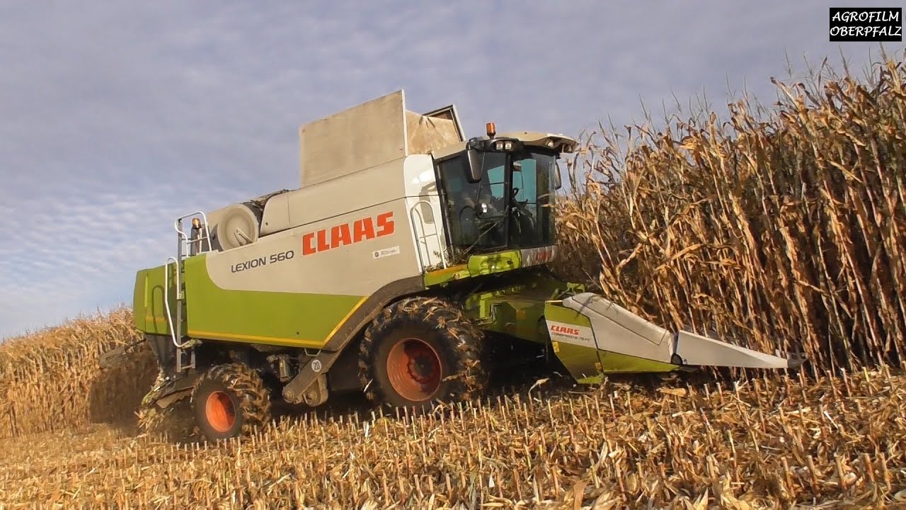 Ran an die Körner - Maisdreschen mit Claas Lexion 560 - Landw. Lohnbetrieb Zollner