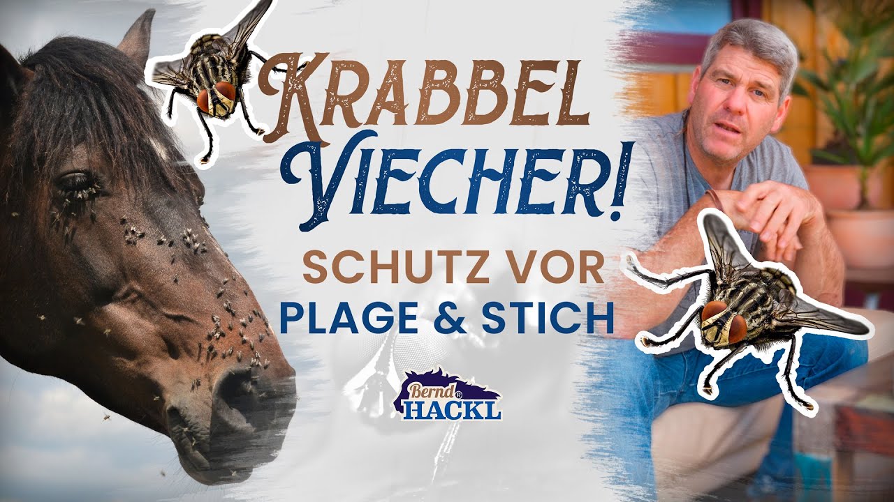 pferdebremsen-kriebelm-cken-co-sch-tze-dein-pferd-nachhaltig-i