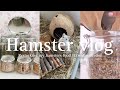 Organising My Hamster Food & Treats 🌿
