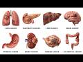 Every Deadly Cancer &amp; Its Effects Explained in 23 Minutes