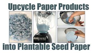 Upcycle Paper Products into Plantable Seed Paper | Science Project