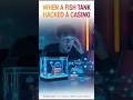 A Fish Tank Hacked a Casino… Seriously 🐟💻😳