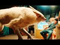 Hanson and the Beast (2017) Film Explained in Hindi/Urdu Summarized हिन्दी