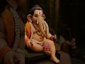 Karpur Gauram karunavataram Sansar Saram bhujgendra Haram 🙏🙏🙏##