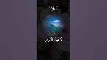 سورة يونس Surah Yunus #shortvideo #quransurah