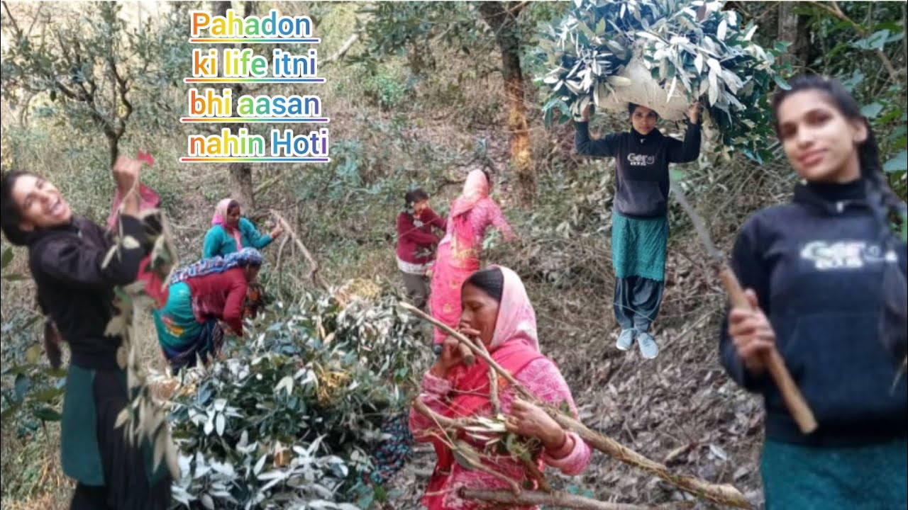 Pahadon ki life itni bhi aasan nhi h 🌿 anjalifamilyvlogs #pahadilifestyle #pahadivlog 