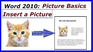 Word 2010 How to Insert Pictures, Clipart or Images into a Document