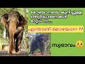 എന്താണ് മോഴ ആന ??  | കേരളത്തിലെ മോഴയാനകൾ | Kerala Mozha Elephant's |Aanayum Aanakkaranum