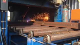 Famous Pythonx Plasma Cutter Selling at Auction December 13th Net Worth