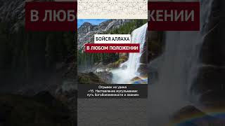 Бойся Аллаха в любом положении || Рустам абу Марьям #ислам #коран #вера #факты #намаз #пост #умра
