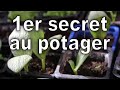 Le 1er secret de la russite au jardin potager bio