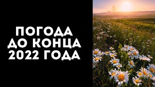 ПОГОДА НА 2022 ГОД В УКРАИНЕ - ЛЕТО ДО КОНЦА СЕНТЯБРЯ, СУХАЯ ОСЕНЬ - ПРОГНОЗ СИНОПТИКОВ