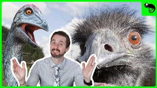 The Largest Birds EVER Are Coming Back From the Dead! How Ratites Took Over the World.