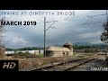 Trains at Oinofyta bridge 2019