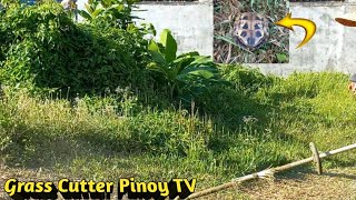 I SEE THE TURTLE AFTER I CUT THE OVERGROWN GRASS AND WEEDS by Grass Cutter Pinoy TV 1,329 views 2 months ago 25 minutes