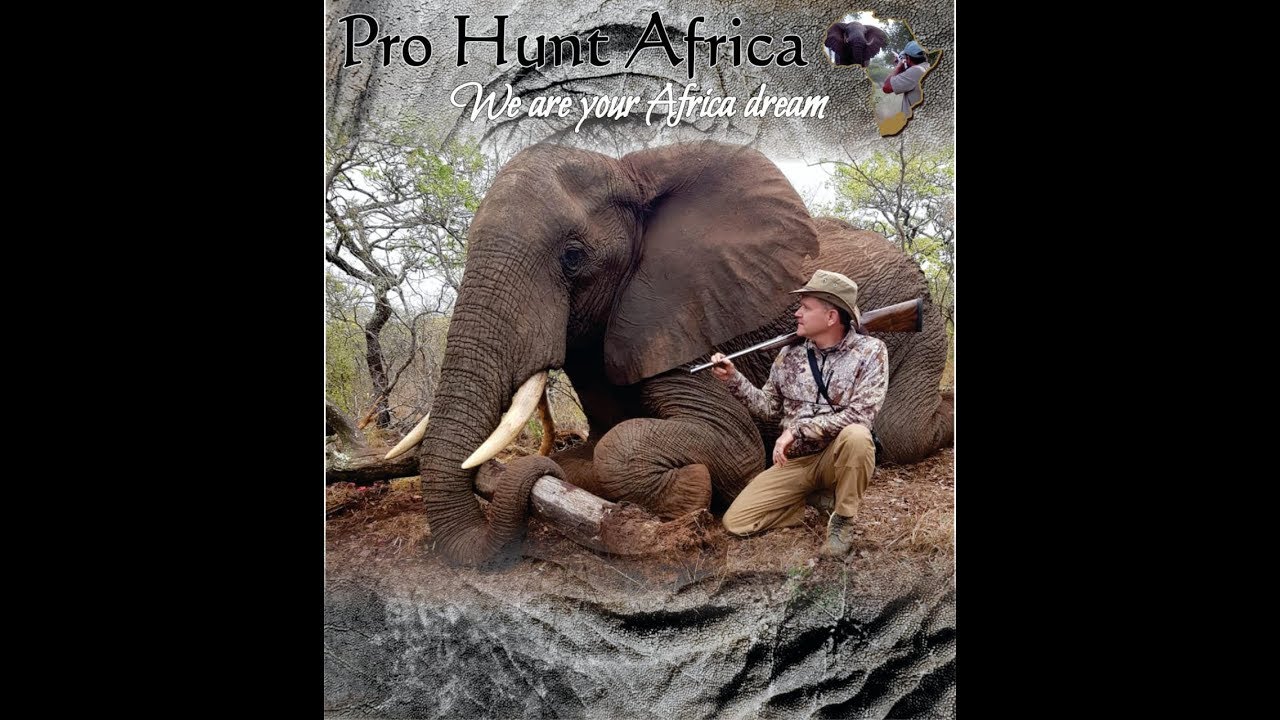 PRO HUNT AFRICA SHOW REEL 2019 