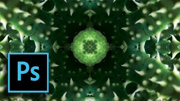 Photoshop cc Biomorphic Mandala