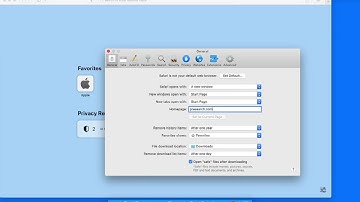 How to Set Presearch as Your Default Search Engine on Safari | Alternative Search Engine Tutorial 