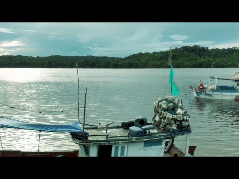 A luta dos pescadores artesanais do Oiapoque contra a pesca industrial