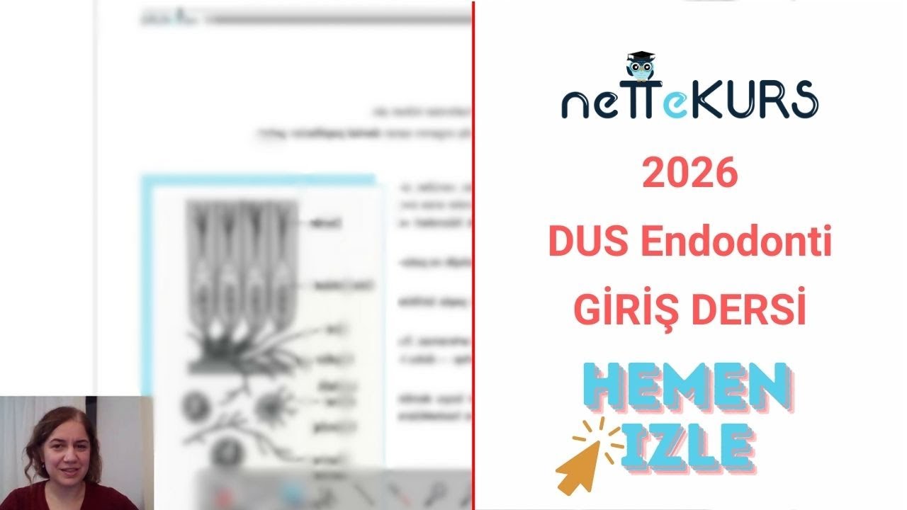 Endodonti Demo Ders | Seda Falakaloğlu Anlatımıyla