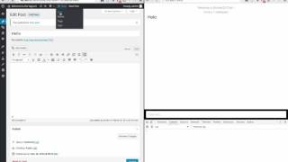 WordPress + Socket.IO