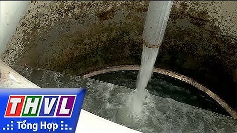THVL | Nhiều trạm cấp nước nông thôn xếp loại C về an toàn vệ sinh thực phẩm