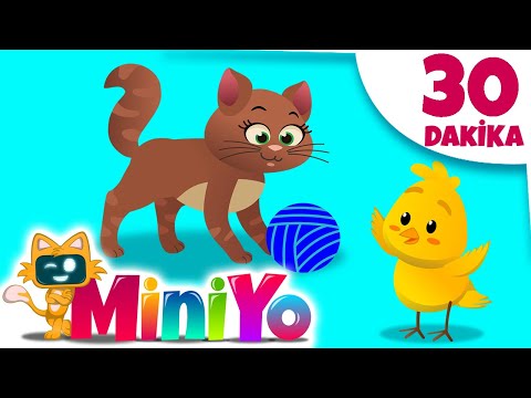Hayvanları Tanıyalım Çocuk Şarkısı + Miniyo Sevimli Hayvanlar | 30 Dakika