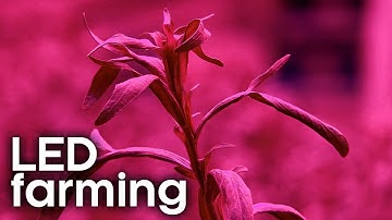 How to Farm Crops Indoors | Earth Science