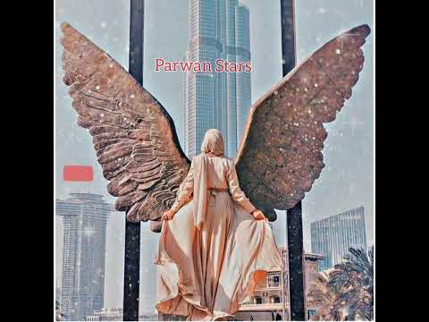 به به چی آهنگ شادی شاپرک پرواز کن پرواز 