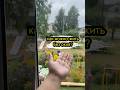 Как можно жить без сетки? Арт вб  394833089 #товарыдлядома #вб #wb #находки #распаковка #wildberries