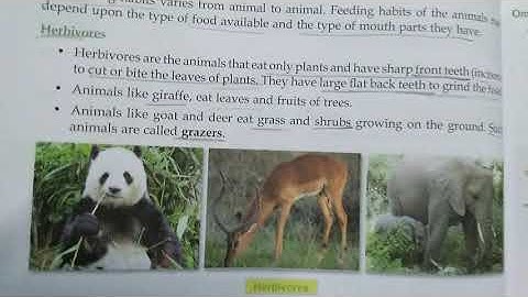 5th, Science, Ch-4 (Animals and their lifestyle) part-1