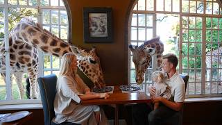 Download Lagu Verblijf in Giraffe Manor in Kenia, Afrika! MP3 Download Lagu Verblijf in Giraffe Manor in Kenia, Afrika! MP3