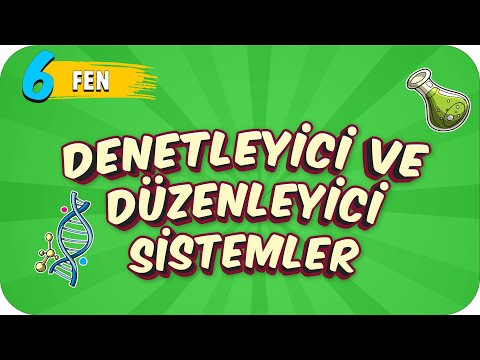 6. Sınıf Fen: Denetleyici ve Düzenleyici Sistemler #2022