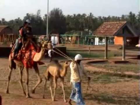 Pallikere Beach video
