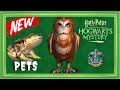 NEW PETS UPDATE Harry Potter Hogwarts Mystery Gameplay NEW PETS UPDATE Harry Potter Hogwarts Mystery Gameplay