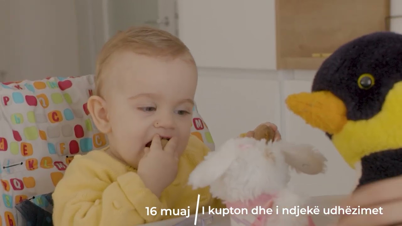 13 - 18 Muaj: Zhvillimi i fëmijës 13  - 18 muajsh