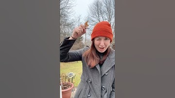 this is exactly what glass is