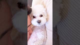 When Love Gets A Little Too Intense