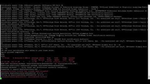Install Nx Witness DW Spectrum or Hanwha Wave in Docker by BLACKBOX USA