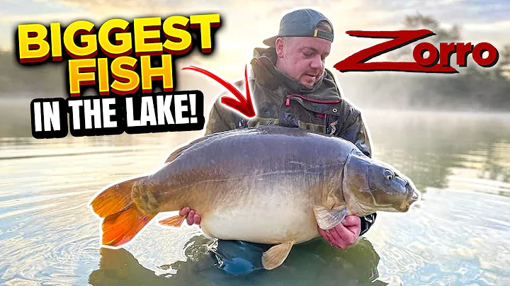 1 Week Carp Fishing Session - Forest Lakes France ...