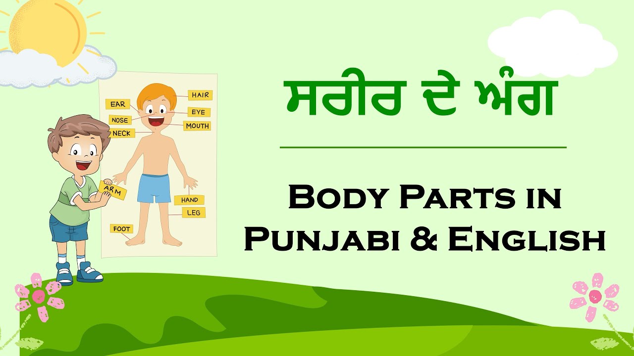 ਸਰੀਰ ਦੇ ਅੰਗ Body Parts in Punjabi & English YouTube