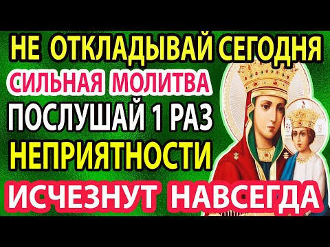 Акафист Богородице Споручница Грешных сильная молитва о здоровье дети помощь