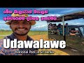 Udawalawe National Park Safari | Elephant Transit Home | Sri Lanka | Tarvel Vlog