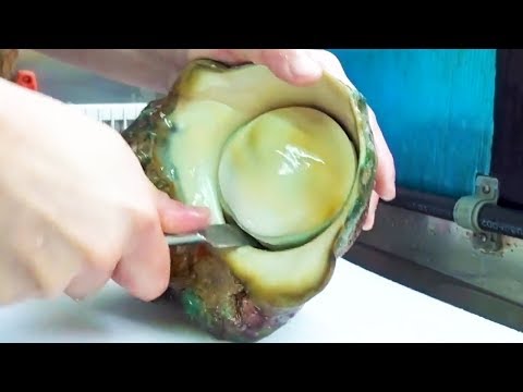 GIANT SEA SNAIL! Great Green Turban Sashimi - Japanese Street Food in Okinawa