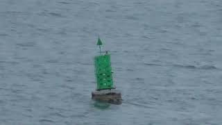 Green Marker Buoy, Port du Bloscon, 29680 Roscoff, Finistere, Brittany, France 19th April 2024